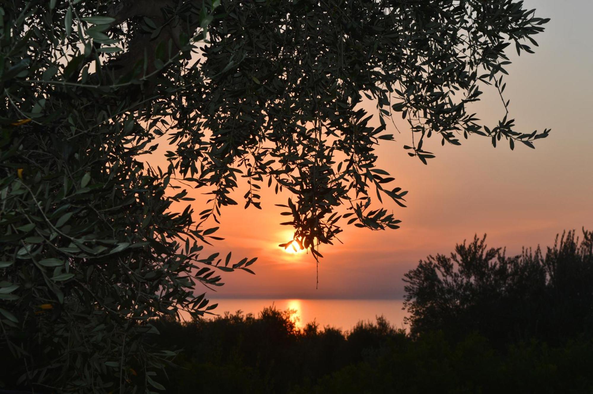 Villaggio Uliveto Rodi Garganico Exteriér fotografie