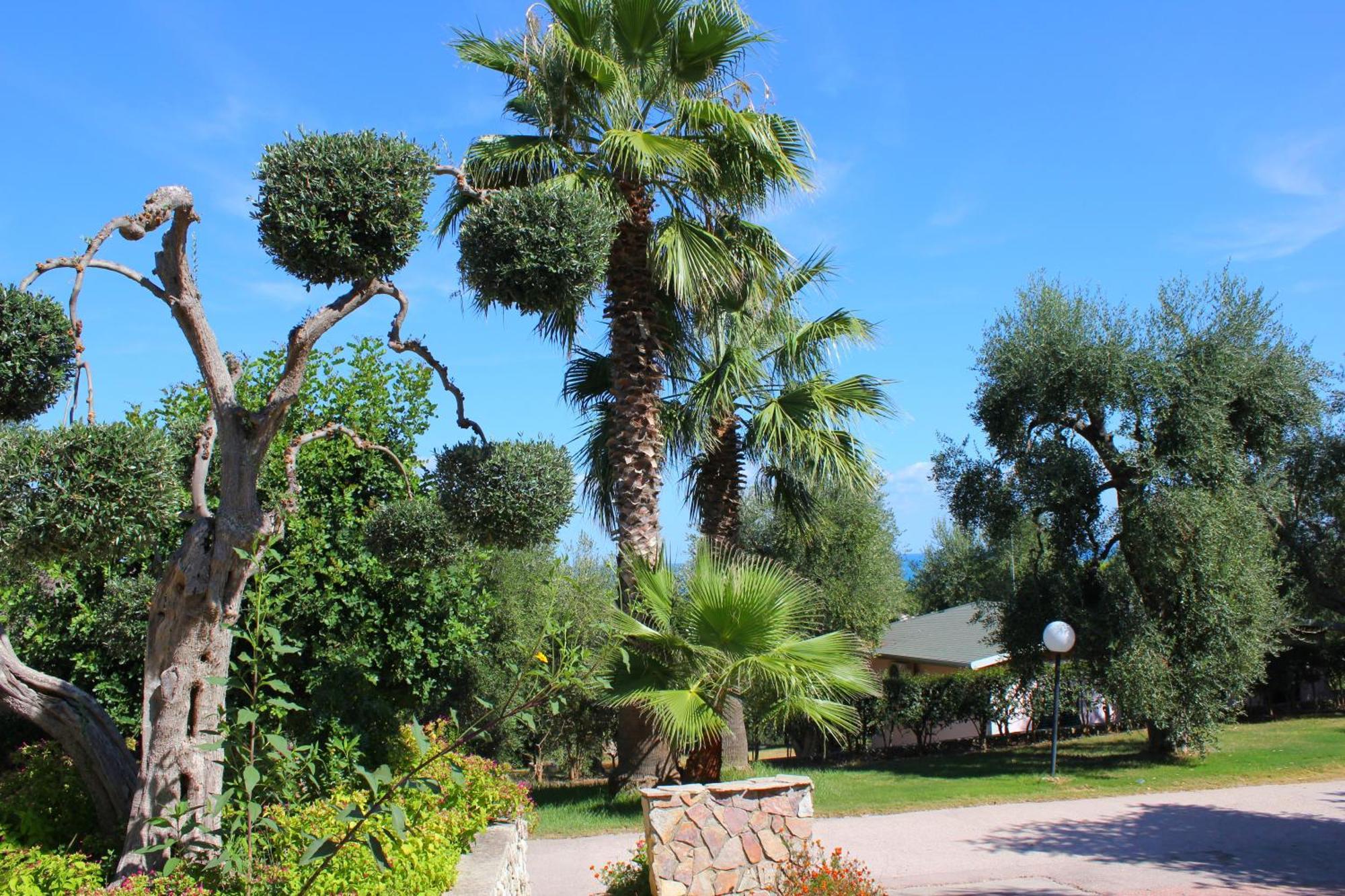 Villaggio Uliveto Rodi Garganico Exteriér fotografie